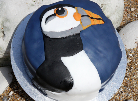 A close up of a delicious cake, decorated with a fondant puffin.