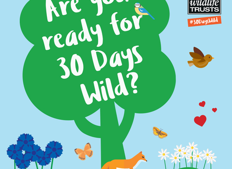 30 Days Wild graphic