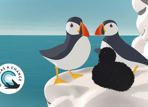 A screenshot from Yorkshire Wildlife Trusts Give Seas a Chance puffin animation. Two adult puffins and a baby puffling stand on Flamborough head cliffs looking out to sea.