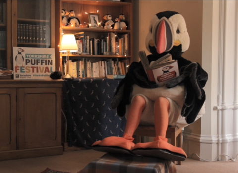 Our puffin mascot, Cliff sat reading a bedtime story at home.