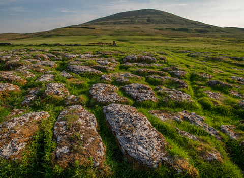 Limestone pavement (Wild Ingleborough)