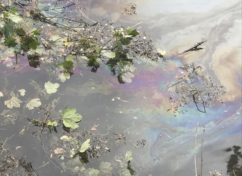 Oil pollution