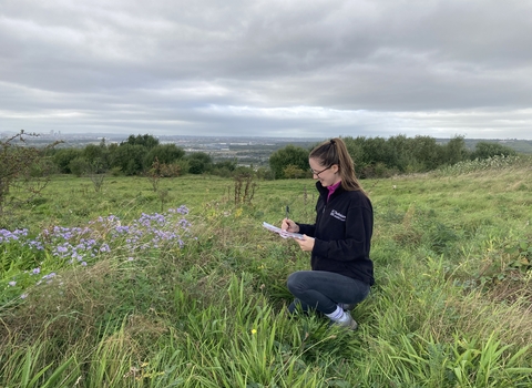 Anna is kneeling in a meadow surveying the species