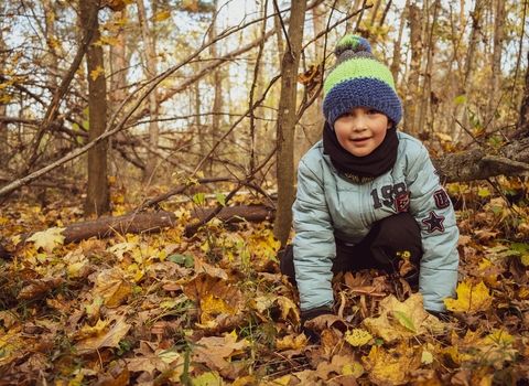 Boy in autumn leaves