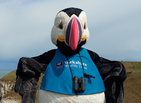 Our puffin mascot, Cliff with a pair of binoculars