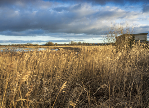 A cloudy sky above the swantail hide at Wheldrake Ings nature reserve. Photo by John Potter
