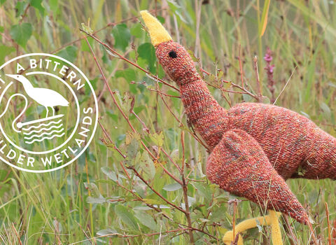 A knitted bittern 'knittern' in long grass. Knittenr created by Kay Perthen