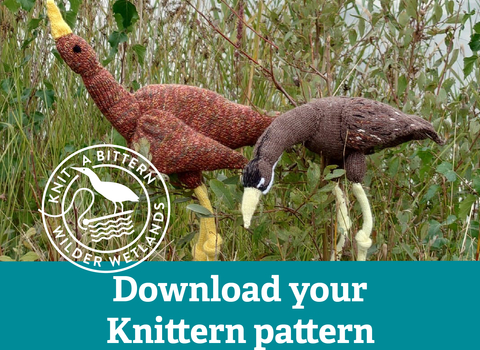 Two knitted bitterns stood in long grass. Download your free Knittern pattern.