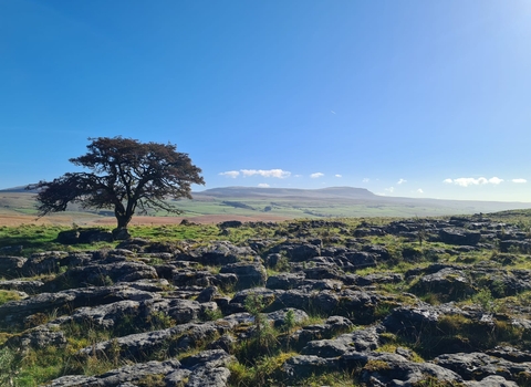 A landscape photograph of Ashes Shaw. Image by Liz Coates.