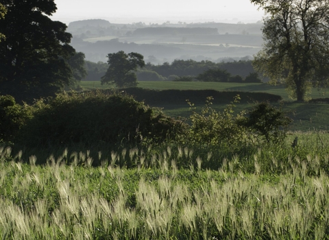 Haregill Lodge Farm, North Yorkshire