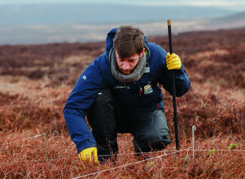 Close up image of Yorkshire peat partnership colleague planting moss on a cold hillside