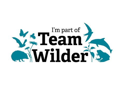 I'm part of Team Wilder logo