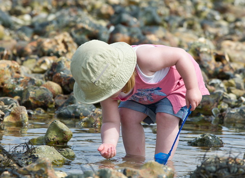 Beach tots