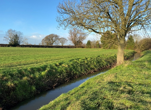 A sunny day over looking part of the Foss