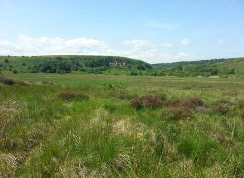 Tussocky moorland in the foreground with hills in the background.