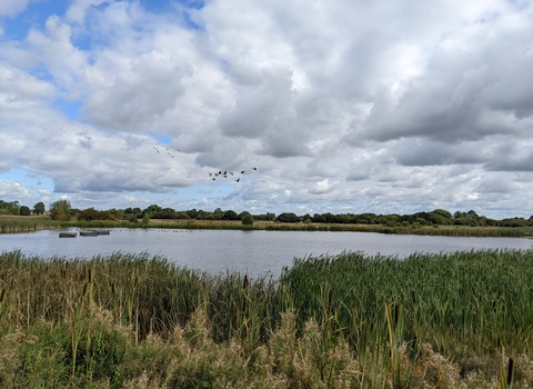 View of the lake at Staveley nature reserve