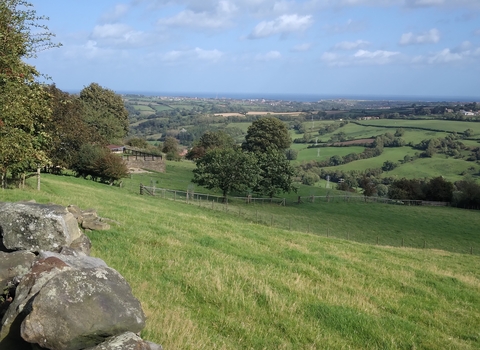 A landscape shot of rolling fields.