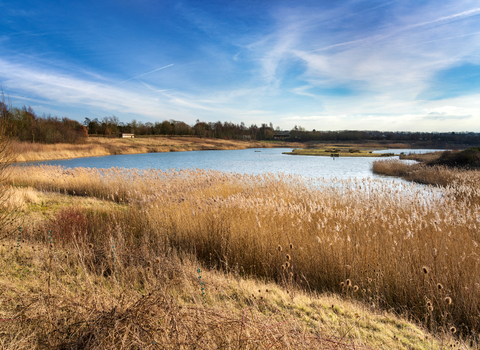 An autumnal photograph of the main lake at North Cave Wetlands.