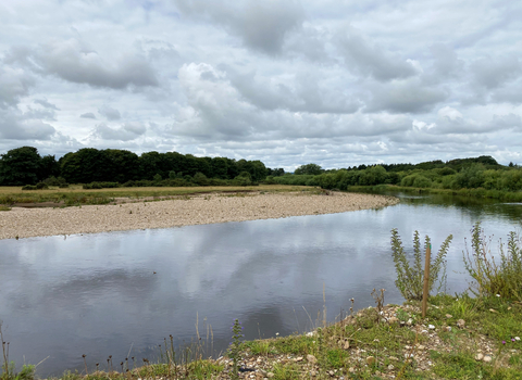 An eroded bank along the river Swale.