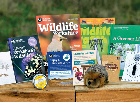 Contents of a Gift Membership box spread out on an outdoor table. It contains books, magazines, gifts, cuddly toy hedgehog, wildflower seeds and a bee revival kit.