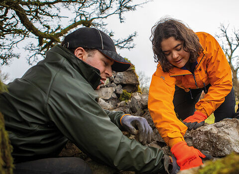 Volunteers dry stone walling