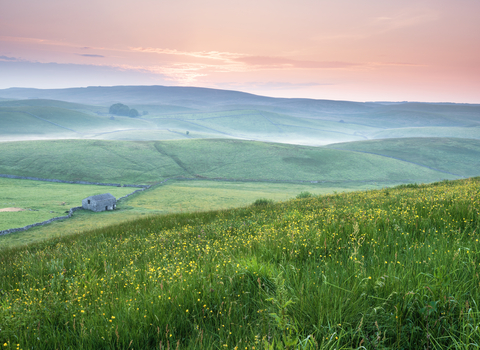 A beautiful pink sunrise over Ashes Pasture.