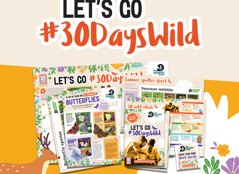 Let's go 30 Days Wild