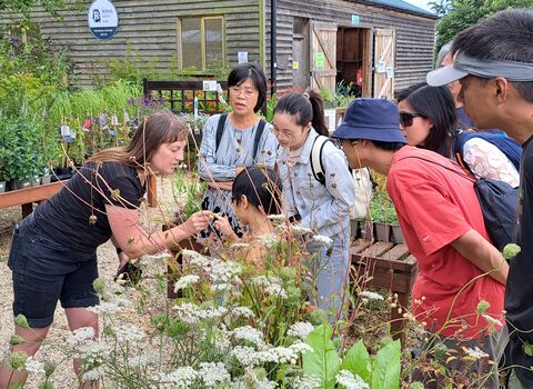 Group of people gather around a raised bed with plants and herbs. 