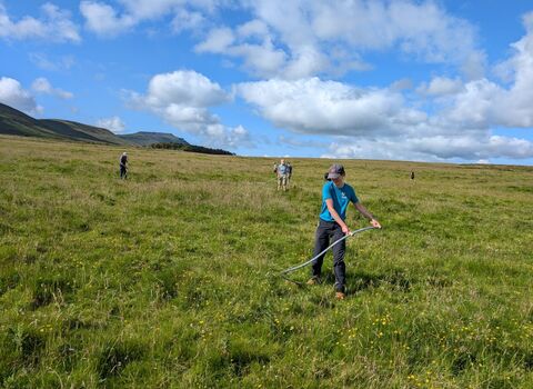 group of people widely spread out on Ingleborough carrying our practical conservation tasks on the land