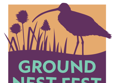 Ground Nest Fest logo with text and image of a curlew