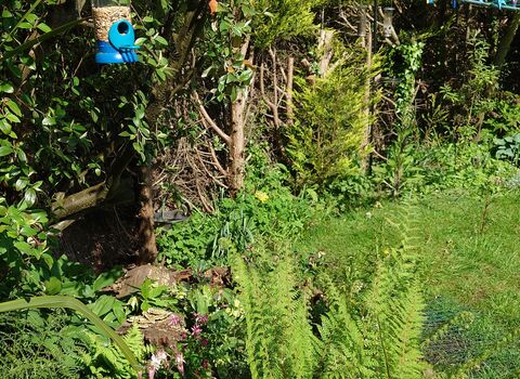 view of a wildlife friendly garden and a bird feeder hangin in shot