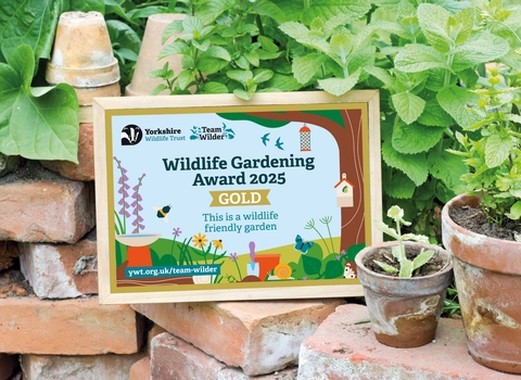 wildlife gardening award plaque