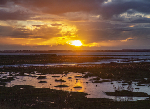 Golden sunset, Paull Holme Strays 