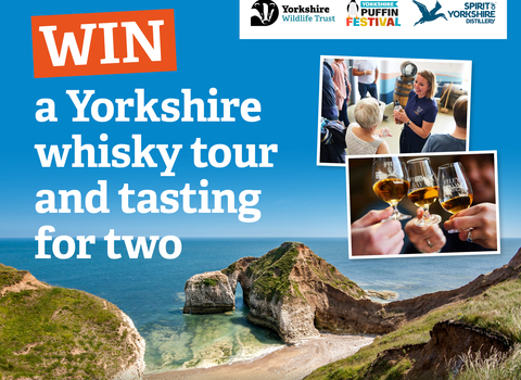 Win a Yorkshire whisky tour and tasting for two