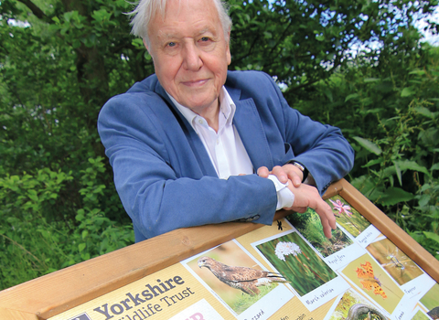 David Attenborough at Askham Bog nature reserve