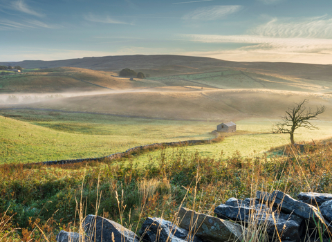 A misty morning at Ashes Pasture, Ingleborough