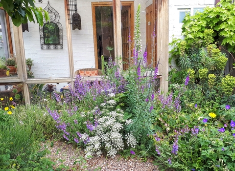 wildlife garden