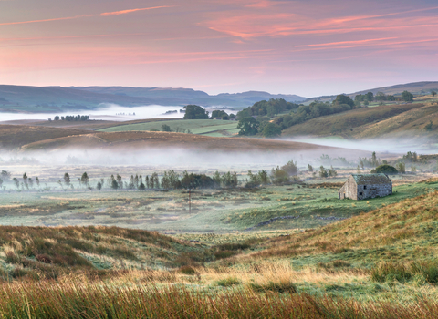 A pink and misty sunrise over Ashes Pasture