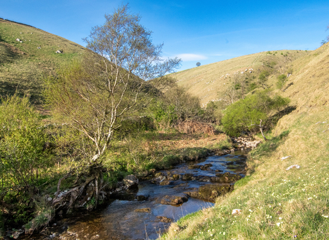 A blue stream cuts between two hillsides, with small and old trees scattered along its banks.