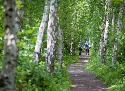 Two people walking through a woodland