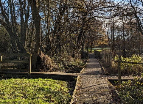 image of the boardwalk