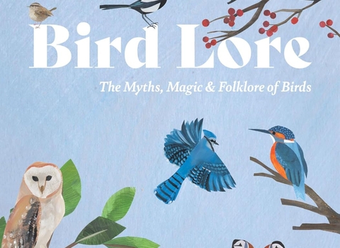 Bird lore book on a pale blue background with images of birds