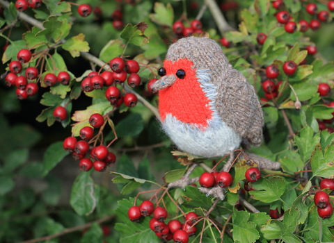 Knitted Robin