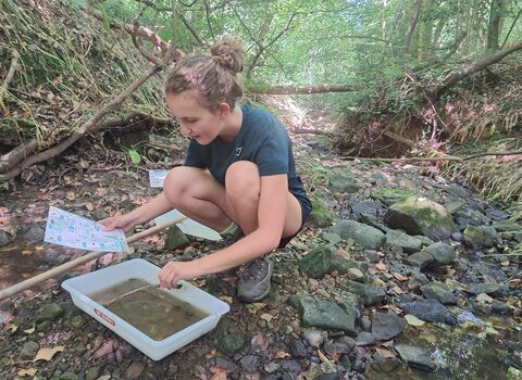 A young girl with her hair in a bun crouched down by a stream looking at a piece of paper