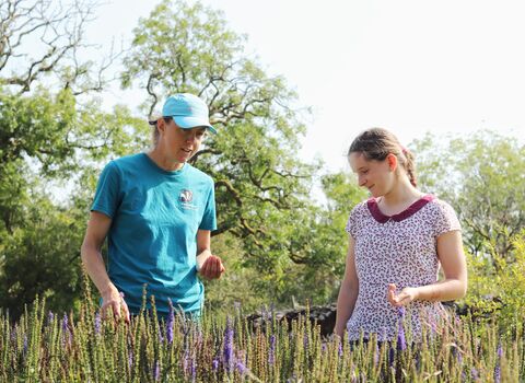 Work experience student seed collecting