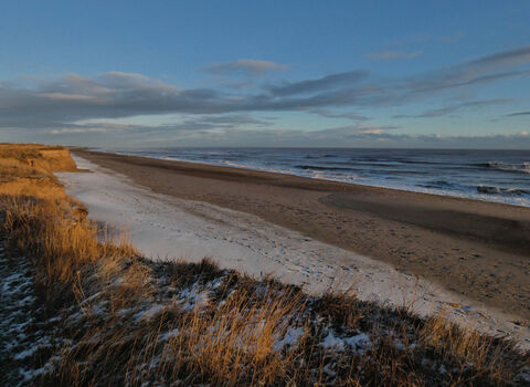 Coastal landscape at dawn, showcasing a long sandy beach partially covered in snow, with small waves breaking in the ocean under a blue and cloudy sky. Foreground shows golden-colored dune grass, with a sandy cliff to the left.