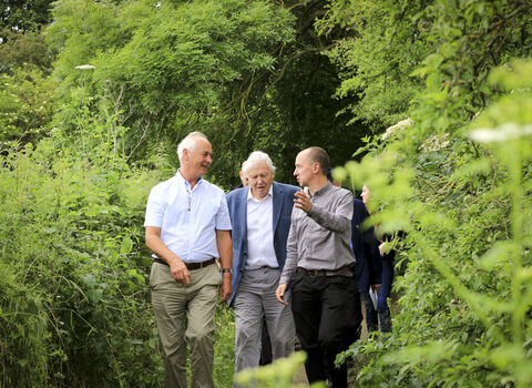 Three men walk through tall grass in a lush green wooded area, a man on the left gesturing with both hands, while the other man to his right, wearing a blue jacket, looks towards the camera. Other people are walking behind them in the path, surrounded by trees.