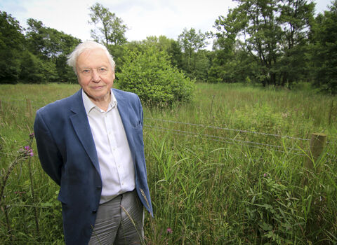Sir David Attenborough stands in a meadow, smiling, wearing a blue jacket, white shirt, and gray pants, with a barbed wire fence and green trees in the background.