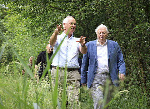 Two older men walk through tall grass in a lush green wooded area, a man on the left gesturing with both hands, while the other man to his right, wearing a blue jacket, looks towards the camera. Other people are walking behind them in the path, surrounded by trees.
