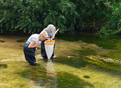 Two women wading in a shallow, clear stream using a net to collect water samples, with lush greenery surrounding the riverbank.